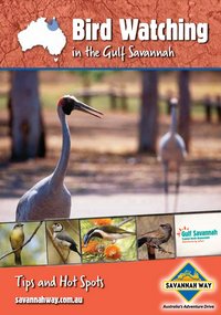 Katalog Bird Watching in the Gulf Savannah